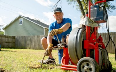 Tree Roots in Sewer Lines: A Hidden Plumbing Problem in Wichita