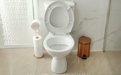 Why Does My Toilet Gurgle When I Shower? Wichita Plumbing Warning Signs